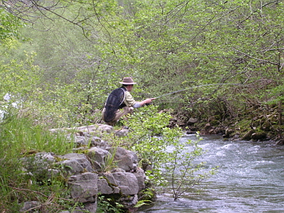 truchas en asturias,pesca truchas,asturias mosca,pesca a mosca pesca mosca